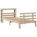 Estructura de cama individual para adultos Estructura de cama individual para adultos Marrón