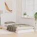 Estructura de cama individual para adultos Estructura de cama individual para adultos Blanco