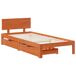 Estructura de cama simple para adultos Estructura de cama simple para adultos Marrón
