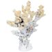 Figura de decoración coral Figura de decoración coral Blanco