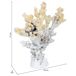 Figura de decoración coral Figura de decoración coral Blanco