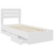 Estructura de cama individual para adultos Estructura de cama individual para adultos Blanco