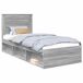 Estructura de cama individual para adultos Estructura de cama individual para adultos Gris