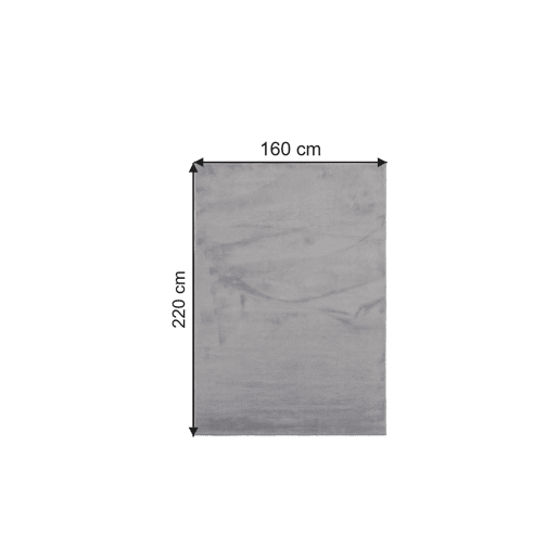 Carpet Shaggy 160x220 cm, prata simples