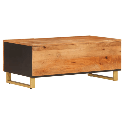 Mesa de Centro, Mesa baixa, 100x54x40 cm mangueira maciça castanho e preto Mesa de Centro, Mesa baixa, 100x54x40 cm mangueira maciça castanho e preto