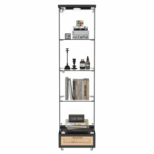 Vitrine moderna em vidro 167 x 42,5 x 36,5 cm - com LED, 1 porta e 4 prateleiras - preta