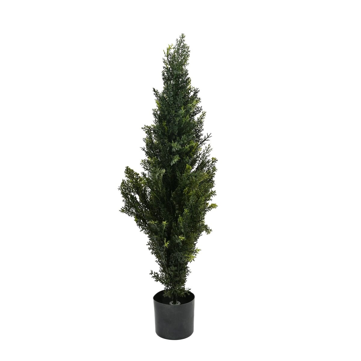 Cedro artificial