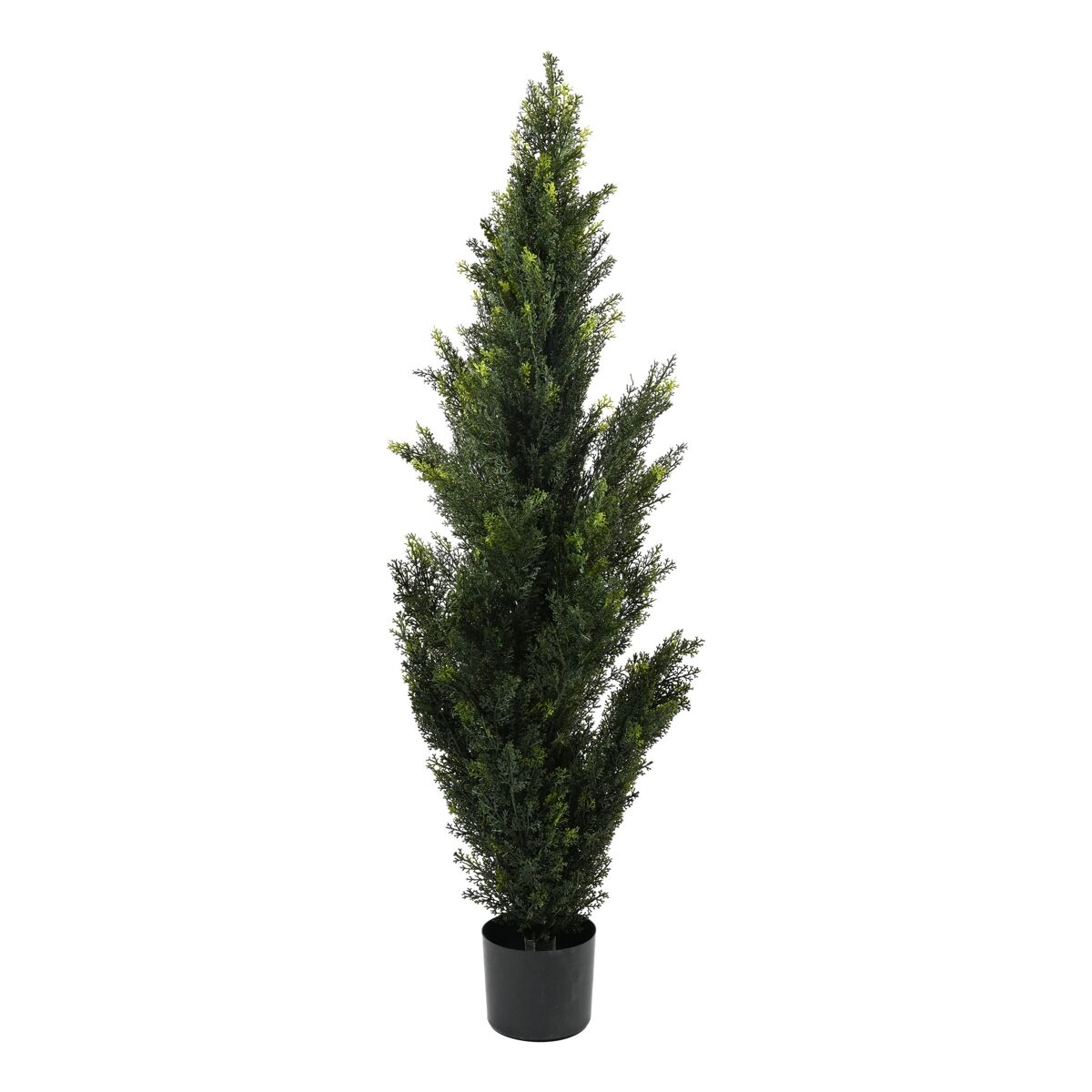 Cedro artificial