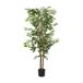 Ficus artificial con maceta Ficus artificial con maceta Verde