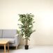 Ficus artificial con maceta Ficus artificial con maceta Verde