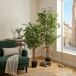 Ficus artificial con maceta Ficus artificial con maceta Verde