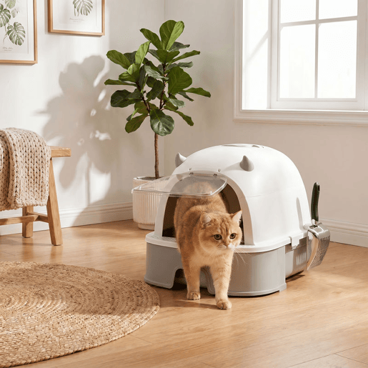PawHut Caixa de Areia para Gatos L com Tampa Removível, Tabuleiro em Aço Inoxidável, Pá, Filtros de Carvão, Fácil de Limpar, Antifugas, Controlo de Odores, Cinzento PawHut Caixa de Areia para Gatos L com Tampa Removível, Tabuleiro em Aço Inoxidável, Pá, Filtros de Carvão, Fácil de Limpar, Antifugas, Controlo de Odores, Cinzento