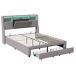 Cama doble con iluminación LED y amplio espacio de almacenamiento Cama doble con iluminación LED y amplio espacio de almacenamiento Gris