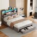 Cama doble con iluminación LED y amplio espacio de almacenamiento Cama doble con iluminación LED y amplio espacio de almacenamiento Gris