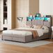 Cama doble con iluminación LED y amplio espacio de almacenamiento Cama doble con iluminación LED y amplio espacio de almacenamiento Gris