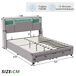 Cama doble con iluminación LED y amplio espacio de almacenamiento Cama doble con iluminación LED y amplio espacio de almacenamiento Gris