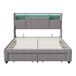 Cama doble con iluminación LED y amplio espacio de almacenamiento Cama doble con iluminación LED y amplio espacio de almacenamiento Gris
