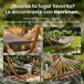 Hamaca - Herriman - Madera Hamaca - Herriman - Madera Crema