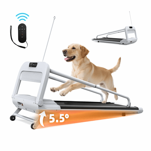 Passadeira para animais de estimação - velocidade ajustável, silenciosa e inteligente, para cães de pequeno e médio porte - preta e branca Passadeira para animais de estimação - velocidade ajustável, silenciosa e inteligente, para cães de pequeno e médio porte - preta e branca