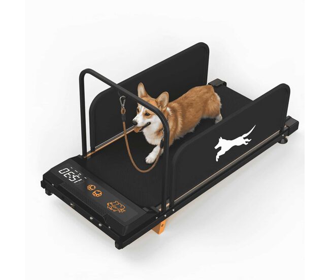 Cinta de correr para perros pequeños - entrenamiento silencioso portátil para mascotas, máquina fitness interior, 2026 edition - negro