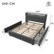 Cama adulto estilo escandinavo, 4 cajones, LED, USB/Tipo C 164x220 Cama adulto estilo escandinavo, 4 cajones, LED, USB/Tipo C 164x220 Beige