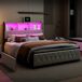 Cama tapizada adulto, LED, USB, 4 cajones y somier láminas 162x217 Cama tapizada adulto, LED, USB, 4 cajones y somier láminas 162x217 Beige