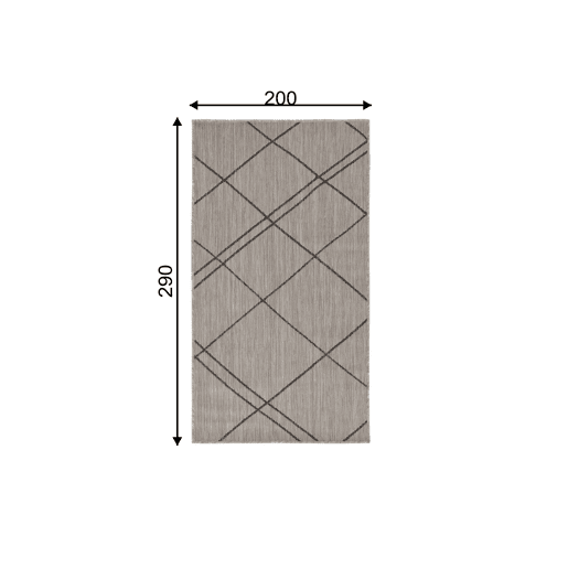 Tapete exterior 200x290 cm, cinzentoseixo claro Tapete exterior 200x290 cm, cinzentoseixo claro