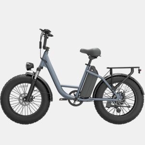 Bicicleta Elétrica | URLIFE | E20 PRO |48V15.6Ah 20 Freio a Disco eBike - Cinza