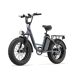 Bicicleta Eléctrica URLIFE E20 PRO 48V15.6Ah Disco Bicicleta Eléctrica URLIFE E20 PRO 48V15.6Ah Disco Gris