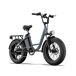 Bicicleta Eléctrica URLIFE E20 PRO 48V15.6Ah Disco Bicicleta Eléctrica URLIFE E20 PRO 48V15.6Ah Disco Gris