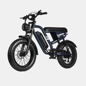Bicicleta Elétrica MAXTURN MX10 - Bateria 48V13.5AH Pneus De 20u201D Travões A Disco óleo - Azul