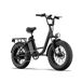 Bicicleta Eléctrica URLIFE E20 PRO 48V15.6Ah Disco Bicicleta Eléctrica URLIFE E20 PRO 48V15.6Ah Disco Negro