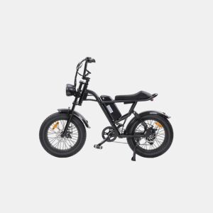 RUSH HORSE V1 Bicicleta Elétrica Bateria 48V 15Ah Pneus de 20x4,0 polegadas Suspensão Dupla - Preto