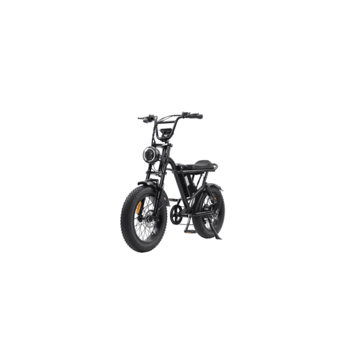 RUSH HORSE V1 Bicicleta Elétrica Bateria 48V 15Ah Pneus de 20x4,0 polegadas Suspensão Dupla - Preto RUSH HORSE V1 Bicicleta Elétrica Bateria 48V 15Ah Pneus de 20x4,0 polegadas Suspensão Dupla - Preto