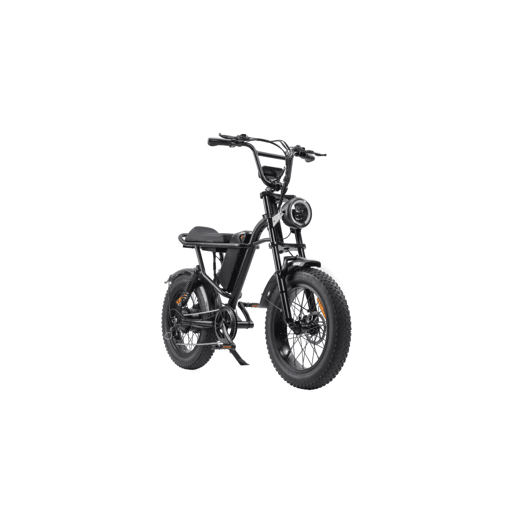 RUSH HORSE V1 Bicicleta Elétrica Bateria 48V 15Ah Pneus de 20x4,0 polegadas Suspensão Dupla - Preto RUSH HORSE V1 Bicicleta Elétrica Bateria 48V 15Ah Pneus de 20x4,0 polegadas Suspensão Dupla - Preto
