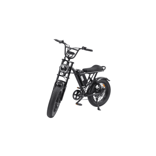 RUSH HORSE V1 Bicicleta Elétrica Bateria 48V 15Ah Pneus de 20x4,0 polegadas Suspensão Dupla - Preto RUSH HORSE V1 Bicicleta Elétrica Bateria 48V 15Ah Pneus de 20x4,0 polegadas Suspensão Dupla - Preto