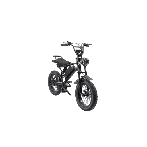 RUSH HORSE V2 Bicicleta Elétrica Bateria 48V 15Ah Suspensão Dupla Modos de condução duplos - Preto RUSH HORSE V2 Bicicleta Elétrica Bateria 48V 15Ah Suspensão Dupla Modos de condução duplos - Preto