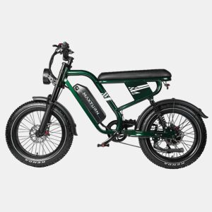 Bicicleta Elétrica MAXTURN MX10 - Bateria 48V13.5AH Pneus De 20u201D Travões A Disco óleo - Verde
