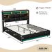 Cama con almacenamiento, cama doble, USB, LED 211x145 Cama con almacenamiento, cama doble, USB, LED 211x145 Negro
