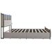 Cama doble, cama con cajones, LED, USB 217x142 Cama doble, cama con cajones, LED, USB 217x142 Beige