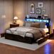 Cama con almacenamiento, cama doble, USB, LED 217x182 Cama con almacenamiento, cama doble, USB, LED 217x182 Negro