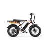 Bicicleta Elétrica JASION RetroVolt - 48V12.5AH Pneus De 20 Polegadas Travões Mecânicos - Preto Flamejante