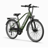 Bicicleta Elétrica JASION EB5 Roamer - Bateria 48V10AH Pneus De 26 Polegadas Travões De Disco Mecânicos - Verde
