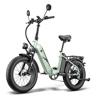 Bicicleta Elétrica FAFREES FF20 Polar - Bateria 48V12*2AH 20 Travão A Disco Hidráulico - Verde