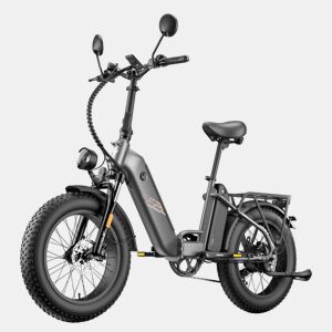 Bicicleta Elétrica FAFREES FF20 Polar - Bateria 48V12*2AH 20 Travão A Disco Hidráulico - Cinza