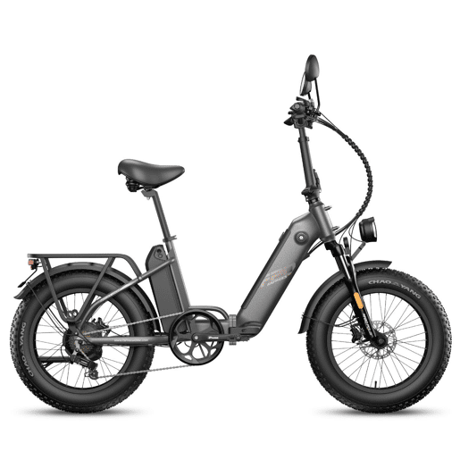 Bicicleta Elétrica FAFREES FF20 Polar - Bateria 48V12*2AH 20 Travão A Disco Hidráulico - Cinza