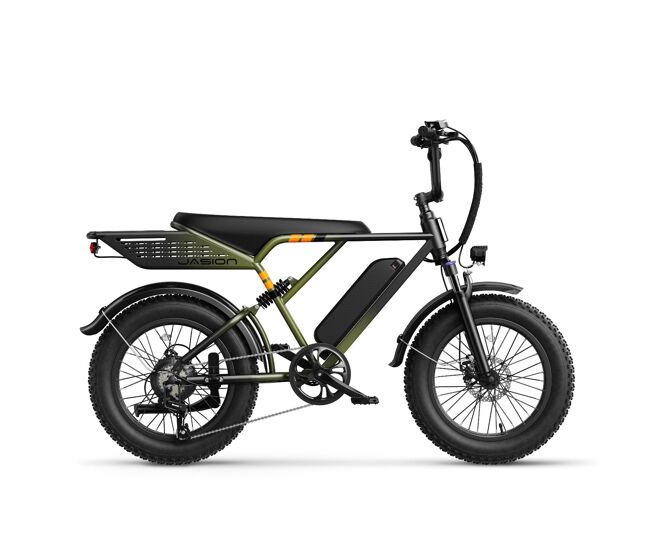 Jasion retrovolt e-bike - neumáticos de 20 pulgadas batería 48v12.5ah frenos mecánicos - verde