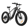 Pixar SPACE1 48V 20Ah 26*4 Bicicleta Elétrica Cinza Freio a Disco