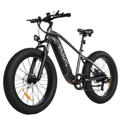 Pixar SPACE1 48V 20Ah 26*4 Bicicleta Elétrica Cinza Freio a Disco