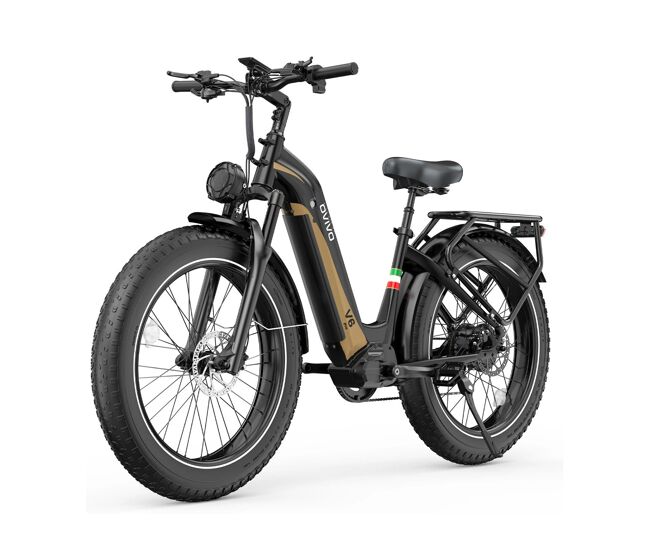 Ovivo v6 pro e-bike - motor 250w batería 48v20ah 26pulgadas frenos hidráulicos - negrooro